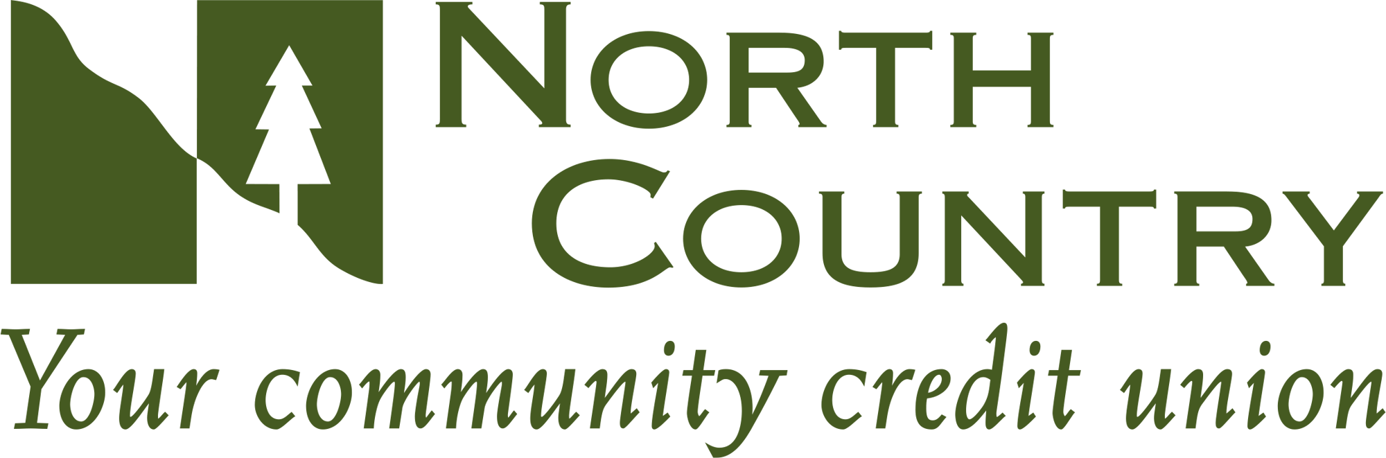 NC2017logoPMS574offset